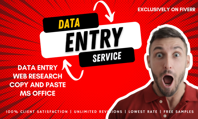 Gig Preview - Do data entry and web research