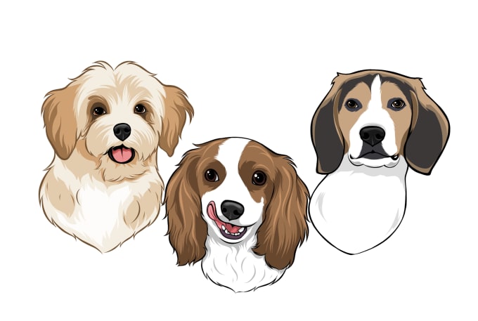 Gig Preview - Draw your pet into a cartoon vector simple in 24 hours