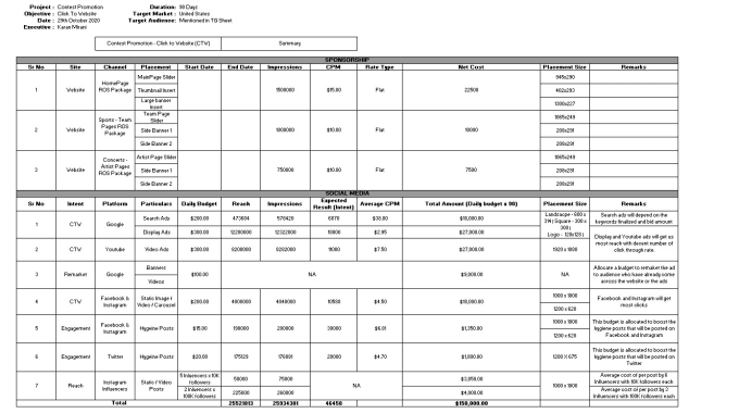 Gig Preview - Make media plan for your campaign