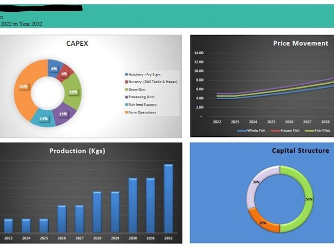 Gig Preview - Build a financial model, projections and forecasts for your business