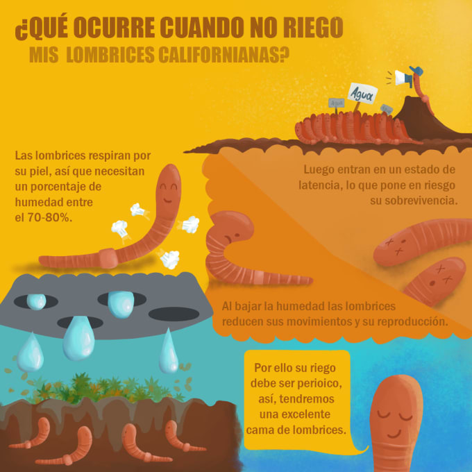 Gig Preview - Design illustrated infographics in english and spanish