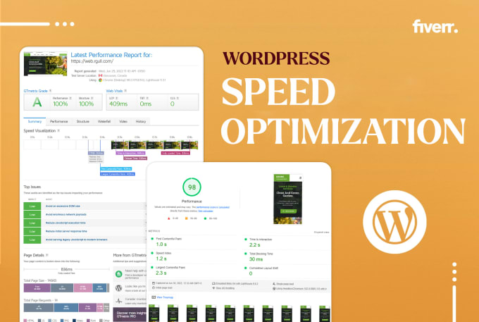 Gig Preview - Do wordpress speed optimization and fix core web vitals