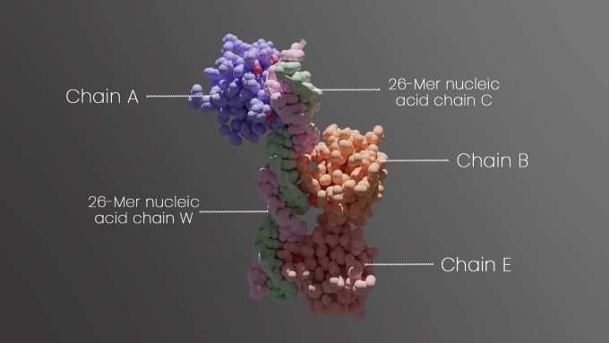 Bestseller - design scientific, medical illustrations and diagrams