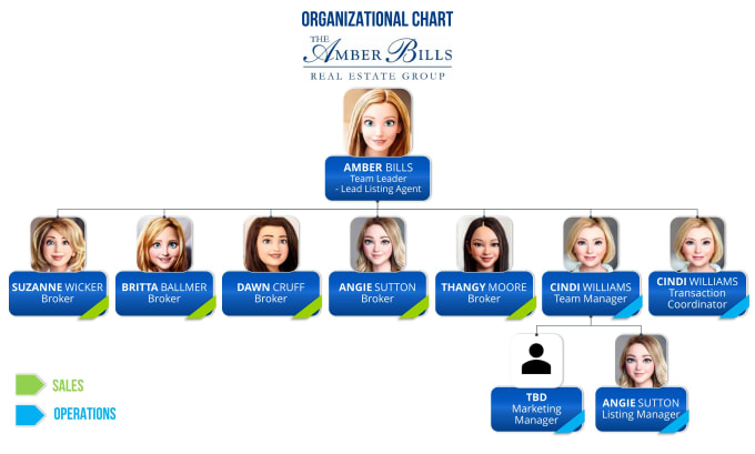 Gig Preview - Do organizational chart in cartoon style