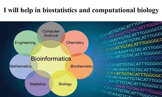 Gig Preview - Help you in bioinformatics and biostatistics