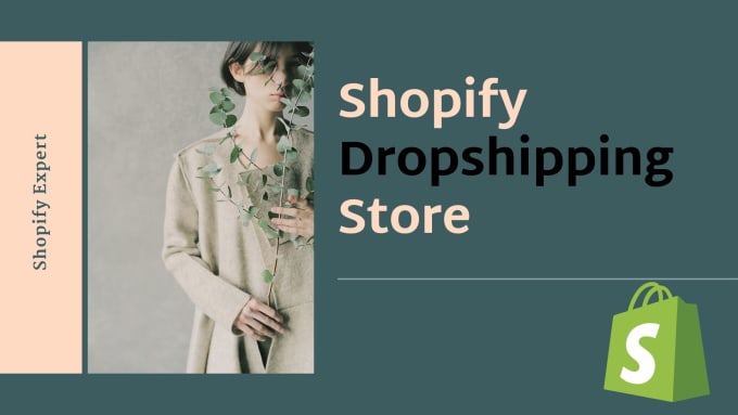 Gig Preview - Build your professional drop shipping shopify store