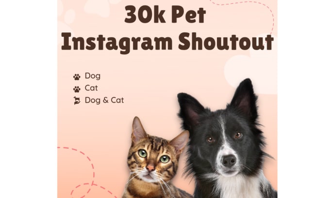 Gig Preview - Promote your pet page or product on our instagram