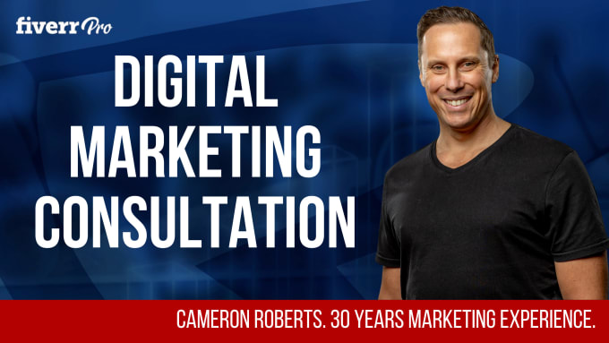 Gig Preview - Our agency will provide a digital marketing consultation