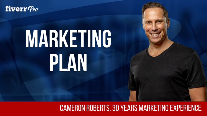 Gig Preview - Our agency will create a detailed marketing plan with strategic action steps