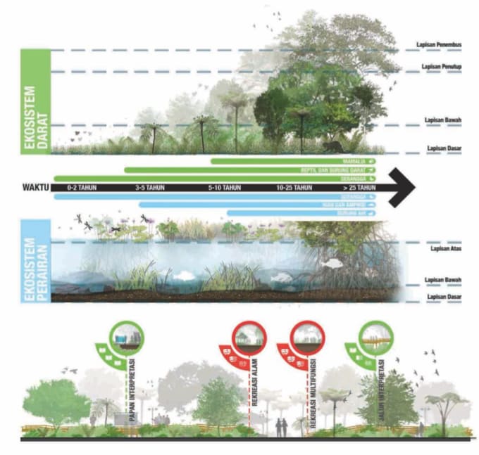 Gig Preview - Do illustrative section elevation for architectural and landscape visualization