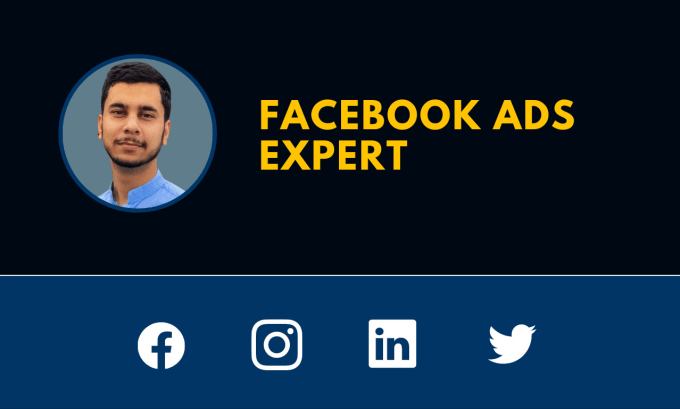 Gig Preview - Create and manage facebook ad campaigns