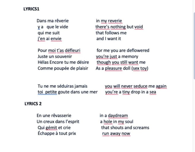 Gig Preview - Create killer french lyrics for your song in 48 h