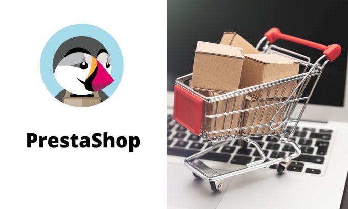 Gig Preview - Create a ecommerce with prestashop