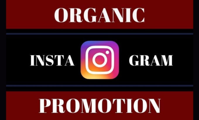 Gig Preview - Do instagram marketing or promotion for organic growth