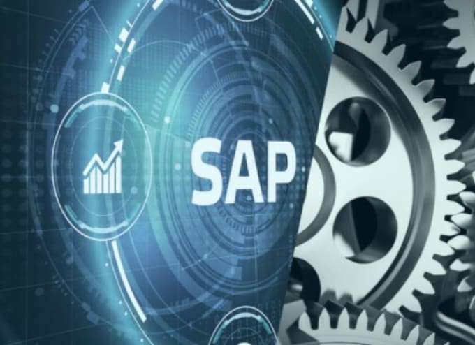 Gig Preview - Provide you a guide to convert sap erp to sap s4hana