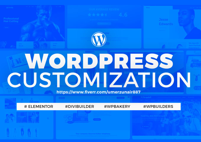 Gig Preview - Do wordpress website customization redesign in 24 hours