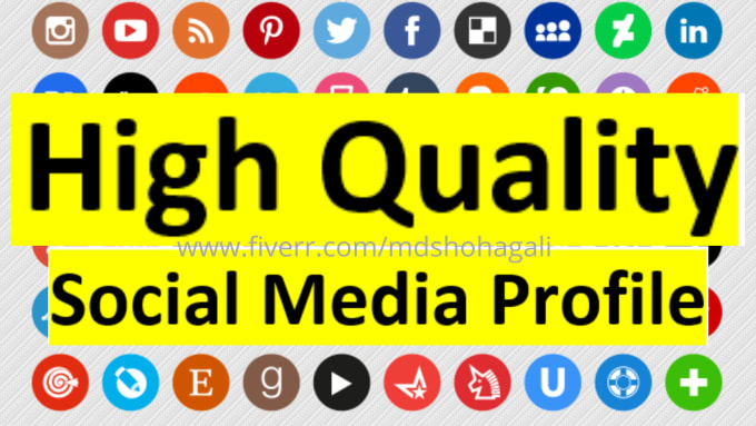 Gig Preview - High quality social media profile backlinks for google top