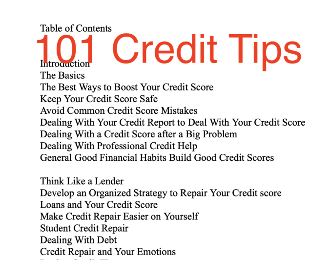 Gig Preview - Sell 101 tips for credit improvement