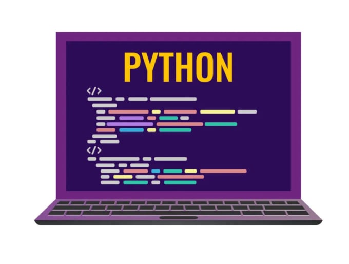 Gig Preview - Write a python script for you