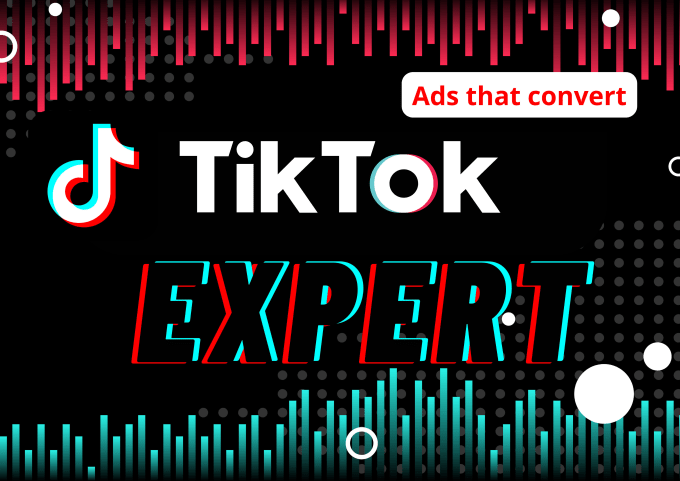 Gig Preview - Setup and manage your tik tok marketing tiktok ads manager