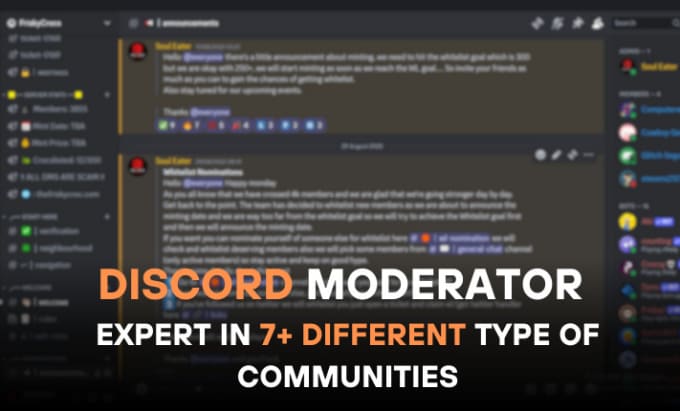 Gig Preview - Be discord moderator, discord server moderator