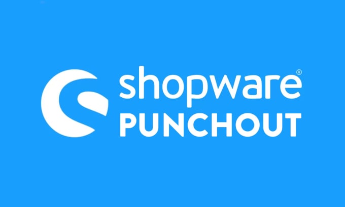 Gig Preview - Add cxml and oci punchout to your shopware web shop