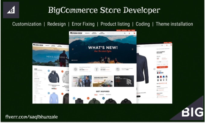 Gig Preview - Professionally customize your bigcommerce store