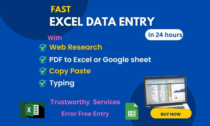 Gig Preview - Do fast excel data entry, typing, copy paste and web research in 24 hours