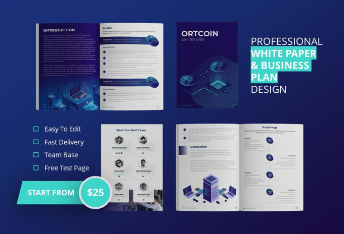 Gig Preview - Design white paper or business plan for crypto, nft, and blockchain