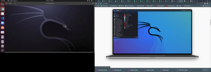 Gig Preview - Setup and teach kali linux on both dual boot virtualbox vmware