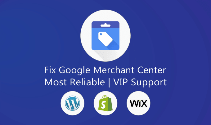 Gig Preview - Fix google merchant center or fix misrepresentation warning