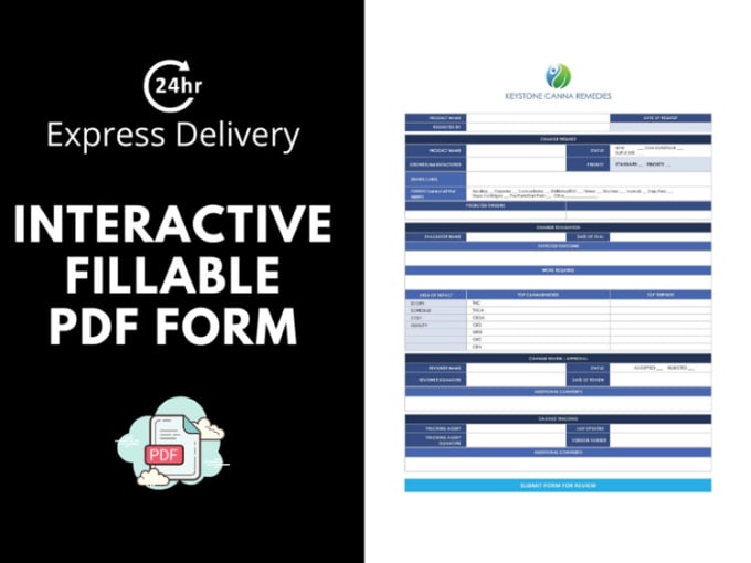 Gig Preview - Design an interactive fillable PDF form