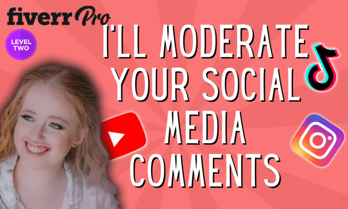 Gig Preview - Moderate your social media comments