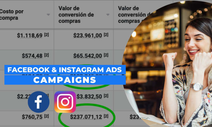 Gig Preview - Create your facebook and instagram ads campaign