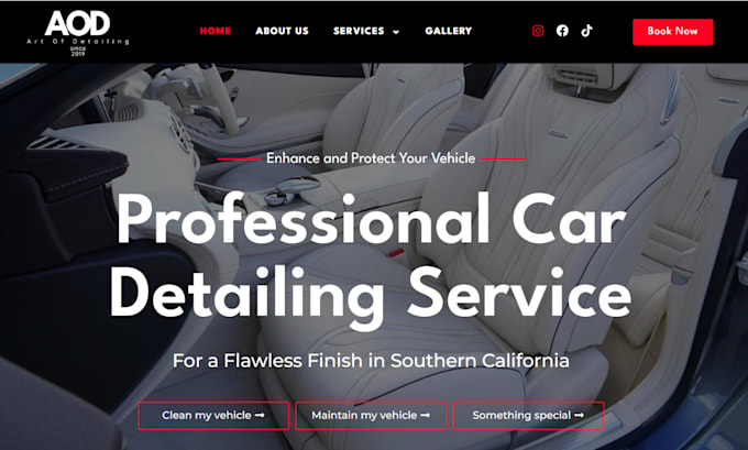 Gig Preview - Create mobile car detailing website, car wash website, auto detailing website