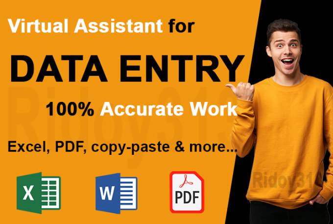 Gig Preview - Be your virtual assistant for data entry, typing, copy paste, excel, PDF work