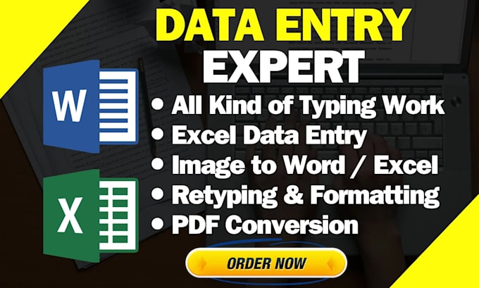 Gig Preview - Data entry, typing work,convert PDF to word, excel