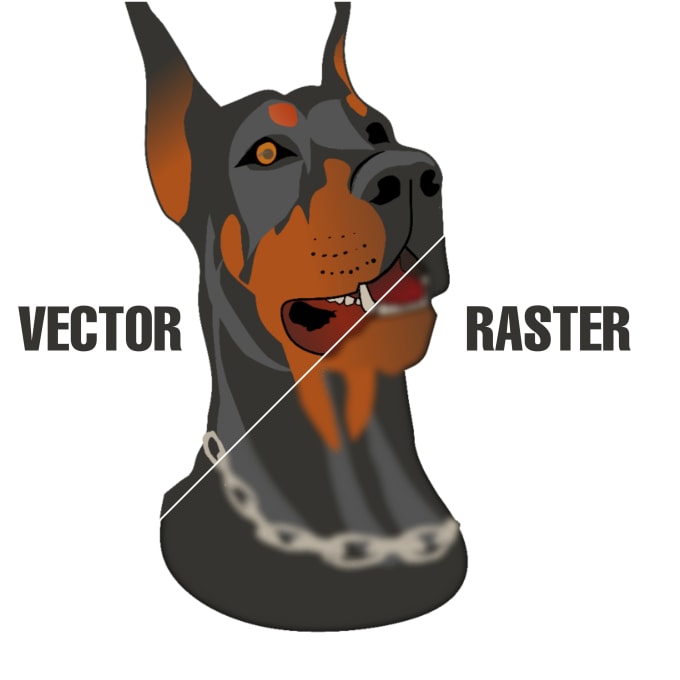 Gig Preview - Vectorize your logo and convert it to HR image in 5 hours