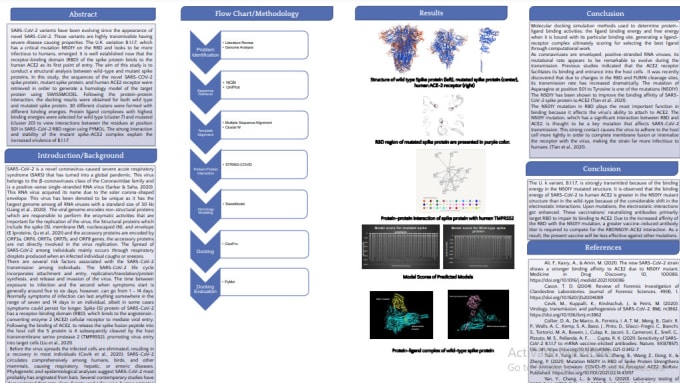 Gig Preview - Design biology posters, presentation, illustrations