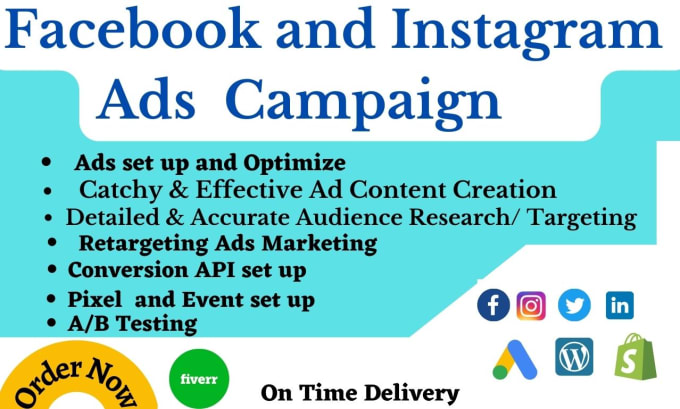 Bestseller - setup targeted ads for facebook, instagram, shopify, tiktok and manage it