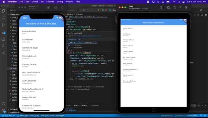 Gig Preview - Developer app in ios and android flutter