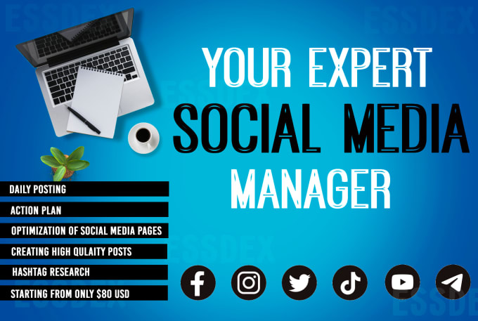 Gig Preview - Our agency will be your professional social media manager and social media content creator