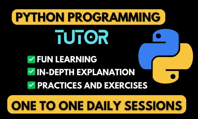 Gig Preview - Be your experienced python programming tutor