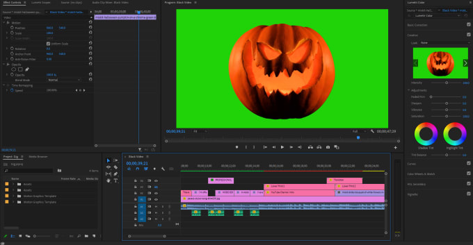 Gig Preview - Offer professional video editing in adobe premiere pro