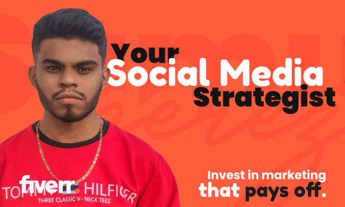 Gig Preview - Be your expert social media strategist