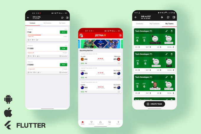 Gig Preview - High quality fantasy cricket app  dream11