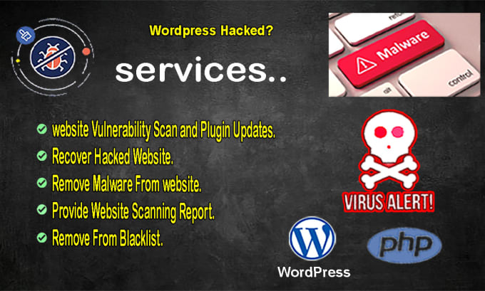 Gig Preview - Remove malware from wordpress website