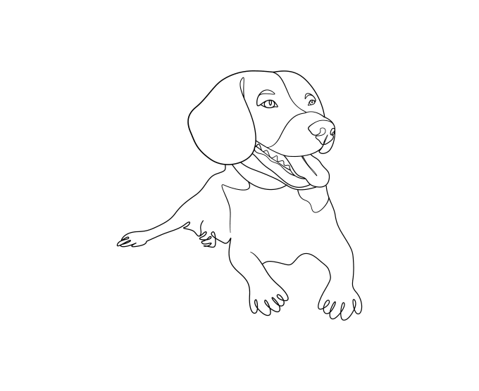 Gig Preview - Draw continuous one line art from your pet portrait  24 hours