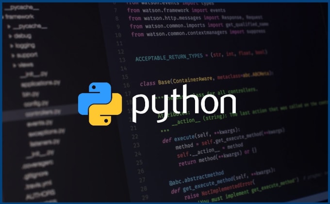 Gig Preview - Be your python programmer