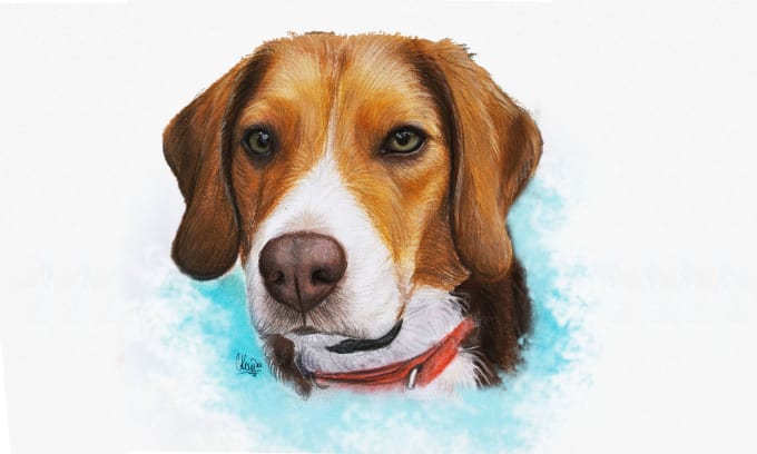 Gig Preview - Hand draw realistic pet portrait